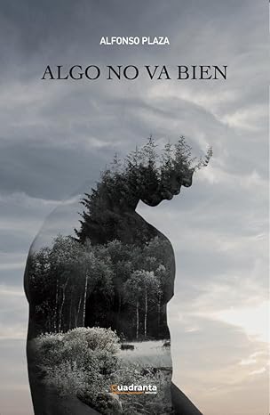 Portada del libro Algo no va bien de Alfonso Plaza Plaza